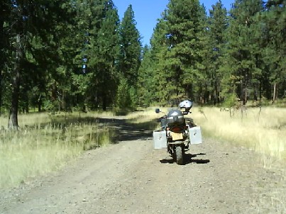 024 Oregon Umatilla National Forest (Is This The Way To California).jpg